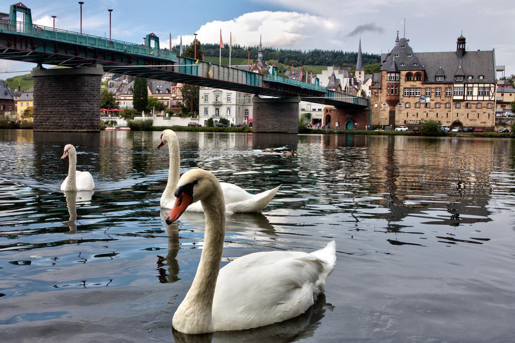 Zimmer Am Markt Traben-Trarbach Extérieur photo